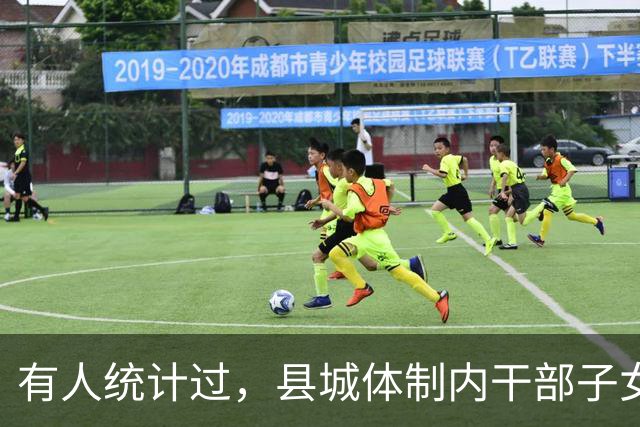 有人统计过，县城体制内干部子女基本在机关事业、电力等国企工作