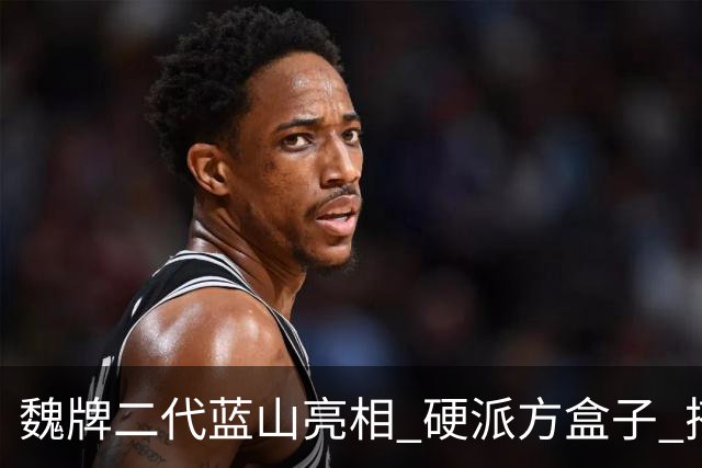 魏牌二代蓝山亮相 硬派方盒子 搭载2.0T插混动力